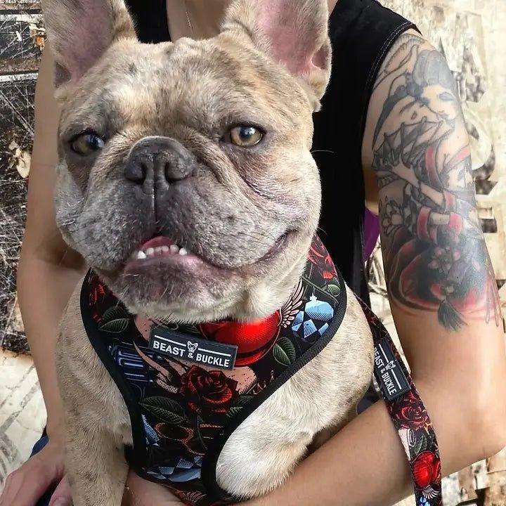 2 in 1 Hundegeschirr | Tattoo - Bobbis Store Hunde