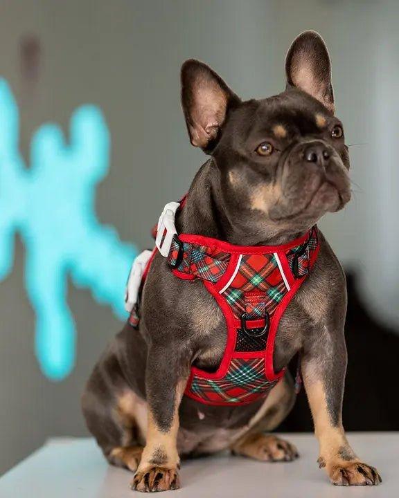 Big and Little Dogs ALLROUNDER-HUNDEGESCHIRR: Happy Holidays Plaid - Bobbis Store Hunde