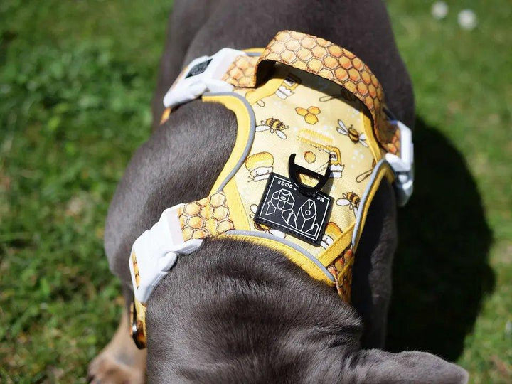 Big & Little Dogs HUNDEGESCHIRR: Honigbiene - Bobbis Store Hunde