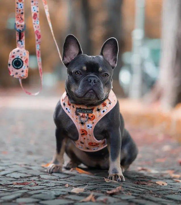 Big and Little Dogs Verstellbares Hundegeschirr: HELLOWEEN - Bobbis Store Hunde