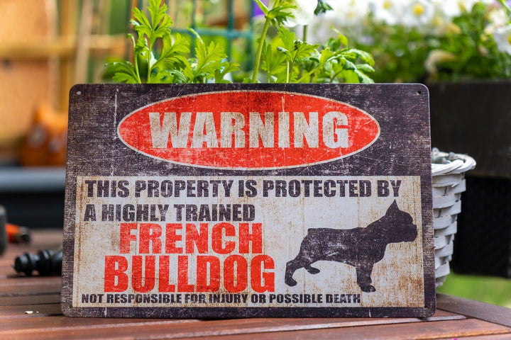 Blechschild „Französische Bulldogge“ - Bobbis Store Hunde