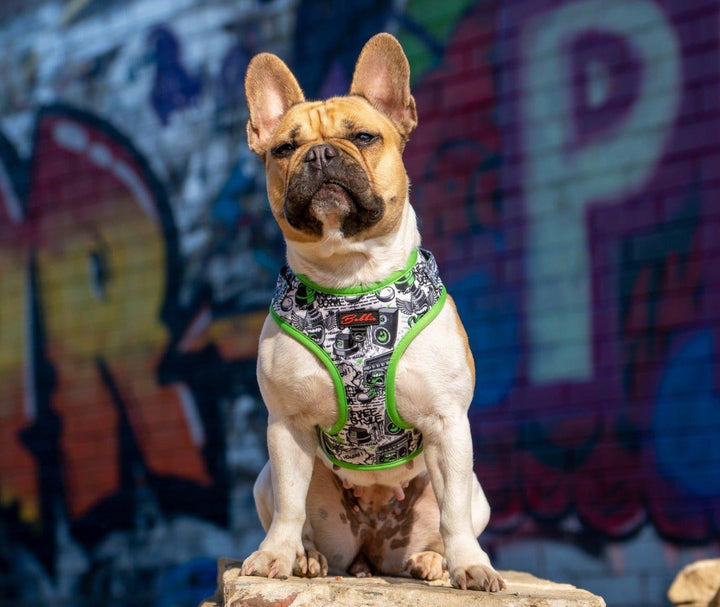 Bobbis Verstellbares Hundegeschirr: Graffiti - Bobbis Store Hunde