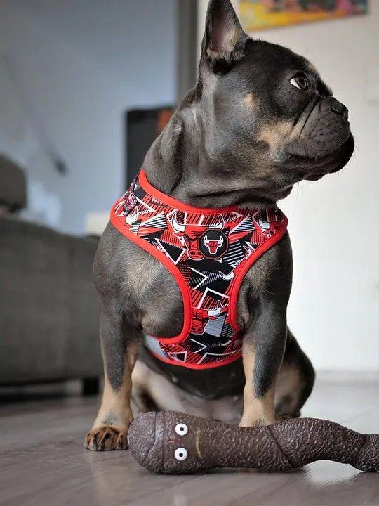 Chicago Bulls x Fresh Pawz | Verstellbarer Hundegeschirr - Bobbis Store Hunde