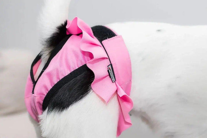 FINNERO BALLERINA Läufigkeitshose pink - Bobbis Store Hunde