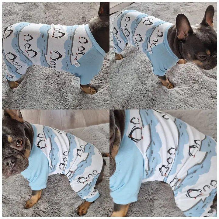 Hunde-Pyjama-Prints aus Baumwolle PINGUIN - Bobbis Store Hunde