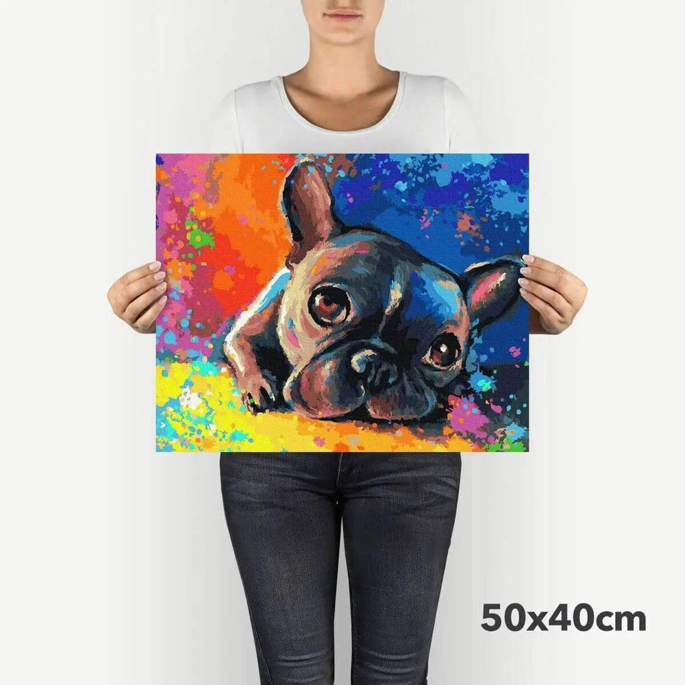 Premium Malen nach Zahlen - Kleine Bulldogge 40 x 50 cm mit Holzrahmen - Bobbis Store Hunde