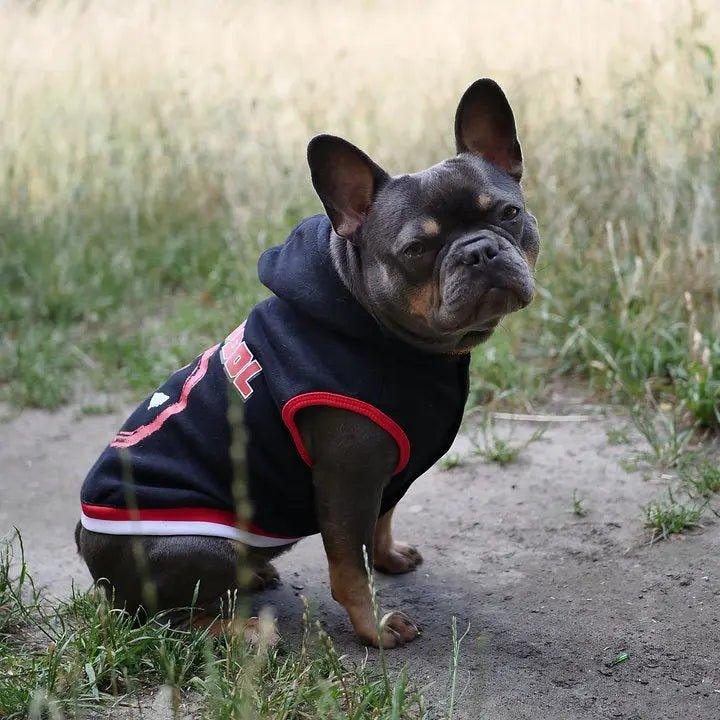 SWEATSHIRT DEADPOOL FÜR HUNDE - Bobbis Store Hunde