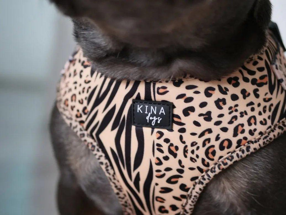 Verstellbares Hundegeschirr | SAFARI - Bobbis Store Hunde