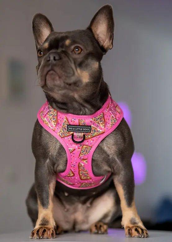 Verstellbares Hundegeschirr: Rosa Feenbrot - Bobbis Store Hunde